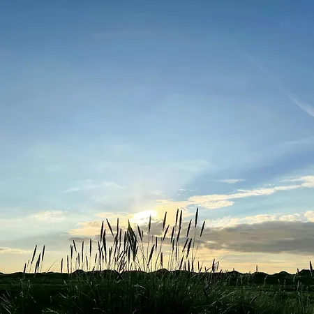 펜션 In Dune Plantation Near 블록쿠스